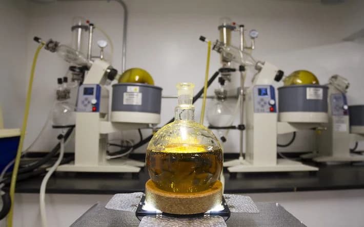 Ekstrakcja - etap procesu Cannapopolis